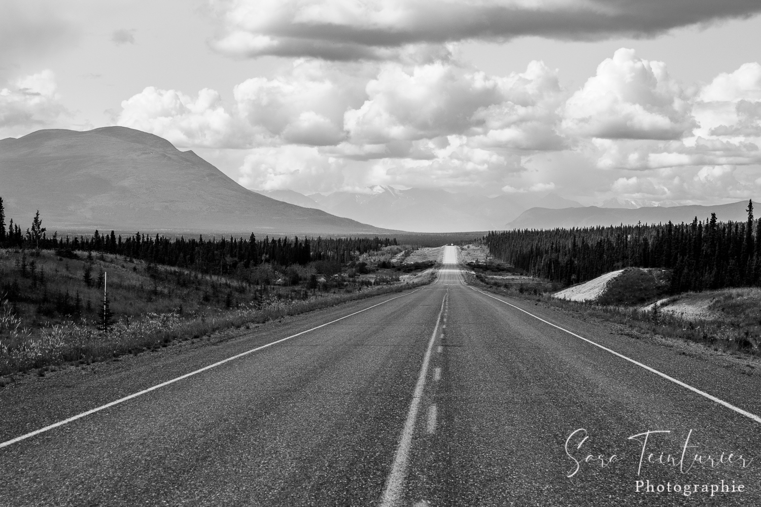 Alaska Highway ©Sara Teinturier